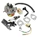 Panari Carburetor with Fuel Filter Tune Up Kit for ETQ TG32P12 TG28P41 TG32P31 Gasoline Generator 16100-170-00