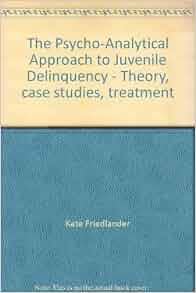 case study juvenile delinquency needs