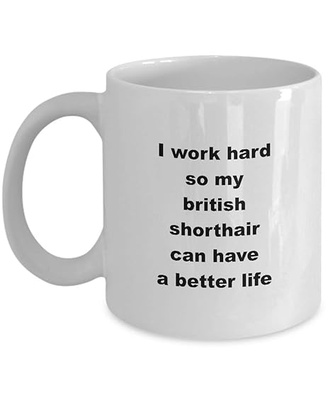 Amazon Com British Shorthair Mug Gifts Items I Work Hard So My