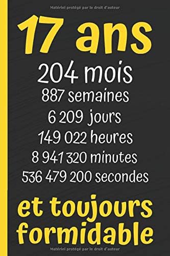 17 Ans Et Toujours Formidable Joyeux Anniversaire 17 Ans Le Journal De Mes 17 Ans Cadeau