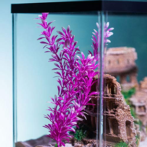 Aquatic Roman Colosseum Pillars Gladiators Large Aquarium