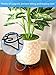 14 Inch Heavy Duty Metal Potted Plant Stand, Set of 2, Flower Pot Holder Rack for Indoor Outdoor Planter Support Planter Pot Trivet, Holds up to 200 lbs, Great Holiday Gift Ideasthumb 2