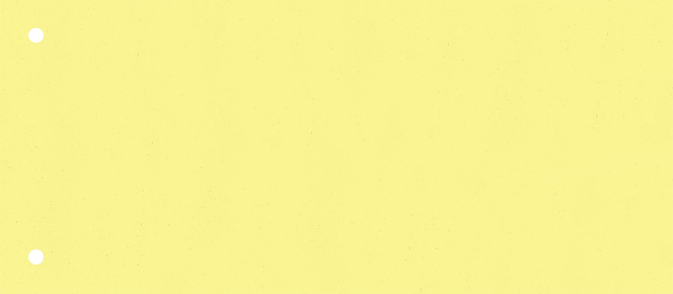 Brunnen 106604000 Divider Strips (10.5 x 24 cm Landscape, Made of Cardboard, Perforated, 100 Divider Strips) White