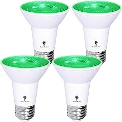 4 Pack BlueX LED PAR20 Flood Green Light Bulb - 8W