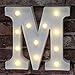 Pooqla LED Marquee Letter Lights Alphabet Light Up Sign for Table Wedding Home Party Bar Decoration M