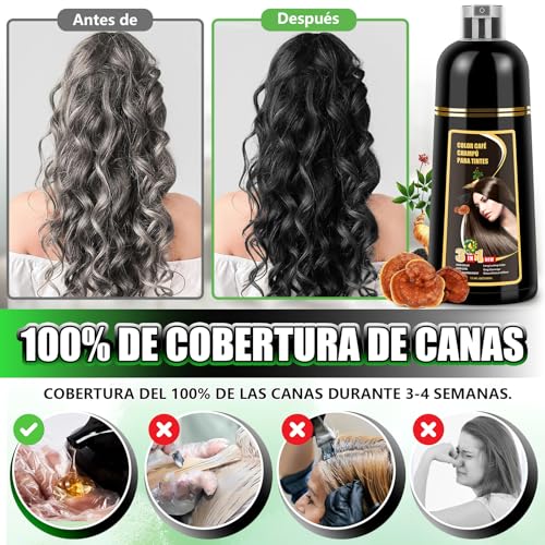 Shampoo con Tinte 3 en 1 Hair Dye Shampoo Negro Cubre Canas al Instante Extracto Jengibre y Ginseng Tratamiento Capilar Colorante 500ml para Todo Tipo de Cabello Mujer y Hombre