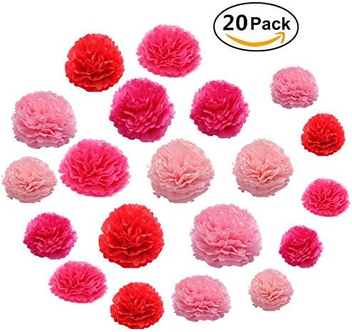 20 PCS Pink Tissue Hanging Paper Flower Paper Tissue paper Pom Poms For Birthday Wedding Party Baby Shower Room Nursery Decorations Craft Kit
