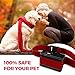 [NEW 2018 VERSION] Bark Collar with UPGRADED Smart Chip - Best Intelligent Dog Shock, Beep Anti-Barking Collar. No Bark Control for Medium/Large Dogs over 10 LBS - Stop Barking Safe