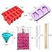 Cute Fruit Popsicle Molds Shapes, Food Grade Silicone Frozen Ice Popsicle Maker-BPA Free, with 62 Popsicle Sticks, 10 Disposable Ice Cube Bags, Funnel (10 Cavities + 3 Cavities)