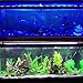 MingDak Full Spectrum LED Aquarium Light,Fish Tank Light with Aluminum Housing Extendable Brackets,White Blue Red Green LEDs for Freshwater Plants,48 to 54-inch,6500K
