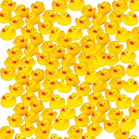 amazon rubber ducks bulk