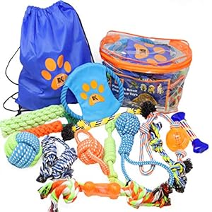 Product image for barcode 856861008019