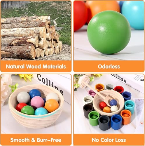 AM ANNA Rainbow Balls in Cups Toddler Montessori Toys for 1 Year Old Up, Kids Preschool Wooden Sorting Toys, Color Matching Games for Learning Sorting and Counting (12 Colors)