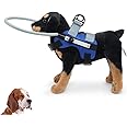 Blind Dog Ring,Adjustable Blind Dog Harness,Blind Dog Bumper to Protect Cats and Dogs with Blindness, Blurred Vision, Sick Eyes from Collision (S)
