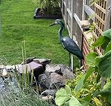 Unibos NATURAL Looking Heron Bird Decoy Deterrent Garden Ponds 78CM view 6