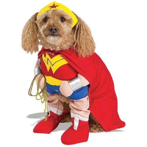 Superhero Costumes for Your Dog