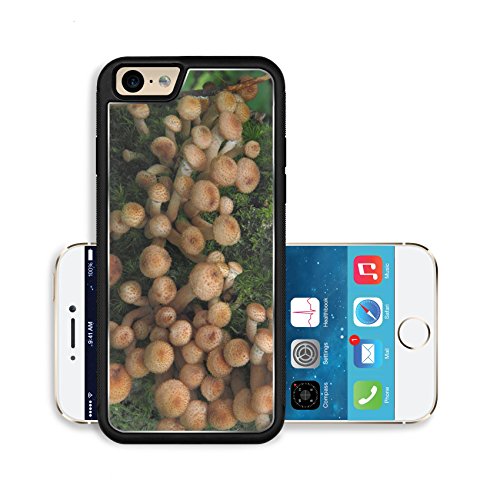 Liili Premium Apple iPhone 6 iPhone 6S Aluminum Backplate Bumper Snap Case Honey agarics Honey fungus Mushrooms 29376030