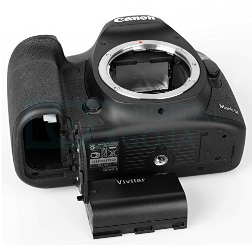 count check to shutter 6d how LP (2 Kit and Vivitar E6 Pack) E6N Battery Charger for LP