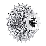 SRAM PG950 11-32T 9-Speed Cassette