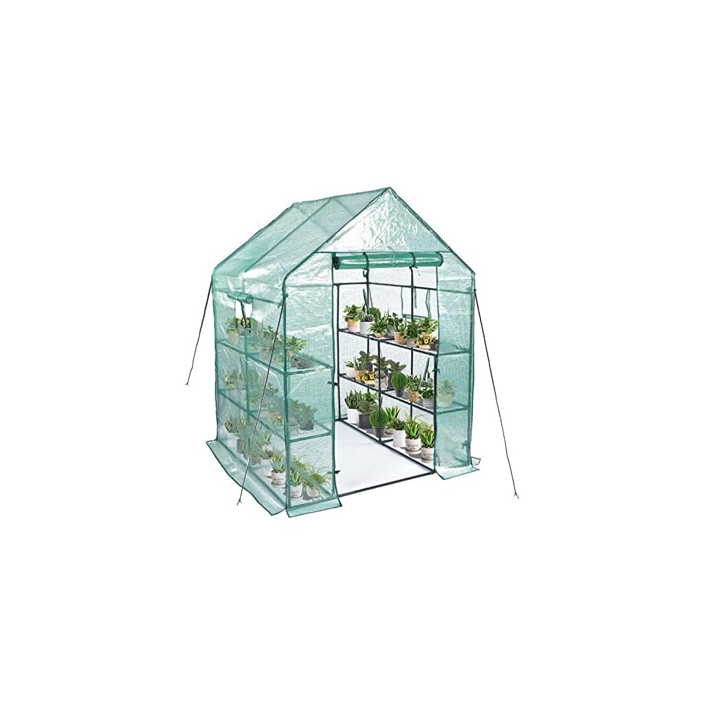 KING BIRD Upgraded 15x6.6x6.6FT Large Walkin Greenhouse Heavy Duty