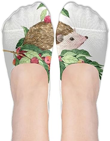 Yoigng No Show Socks Apple Hegehog Womens Classic Low Cut Ankle Tube Liner Non Slip Flat Boat Stockings