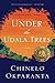 Under the Udala Trees by Chinelo Okparanta
