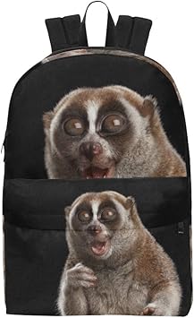school backpacks for petite