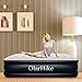OlarHike Queen Air Mattress with Built-in Pump for Guests, Inflatable Double High Elevated Airbed with Comfortable Top, Raised 18