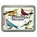 Cavallini & Co. Birds Magnet Set