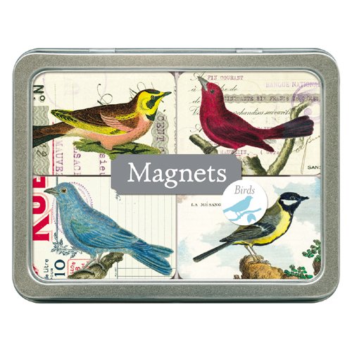 Cavallini & Co. Birds Magnet Set