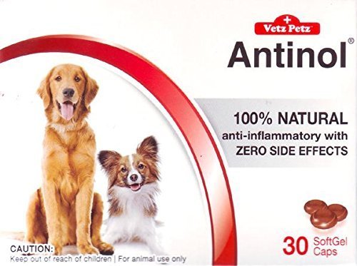 Antinol 100 Percent Natural Anti-Inflammatory with no Side Effects 30 Caps for Dogs By Vetz Petz