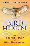 Bird Medicine: The Sacred Power of Bird Shamanism by Evan T. Pritchard