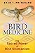 Bird Medicine: The Sacred Power of Bird Shamanism by Evan T. Pritchard