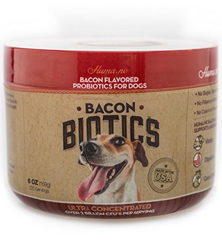 Bacon Flavored Probiotic for Dogs! (2 Billion CFU/225 Servings) Complete Blend of Digestive Enzymes for Diarrhea, Gas, Upset Stomach, Yeast, Bad Breath, Allergies, Arthritis & Pain Relief Bacon Flavored Probiotic for Dogs! (2 Billion CFU/225 Servings) Complete Blend of Digestive Enzymes for Diarrhea, Gas, Upset Stomach, Yeast, Bad Breath, Allergies, Arthritis & Pain Relief