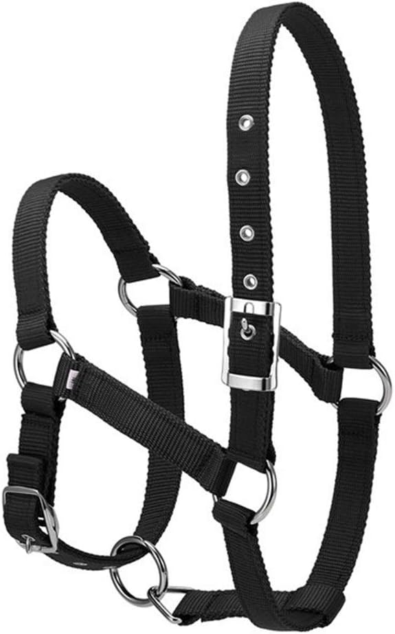 6MM Thickened Horse Head Collar Adjustable Safety Bridle Headcollar Horse Riding Equipment