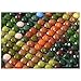 FKUO 5D DIY Diamond Painting 