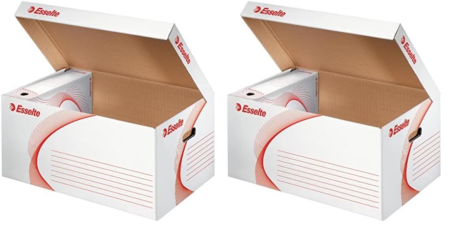 Esselte - Boîte de Rangement en Carton avec Couvercle, Stockage des Boîtes d'Archive (Lot de 2)