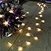 echosari Battery Operated Warm White Christmas Star LED String Lights w/Timer & Remote 100 LED Fairy String Lights for Outdoor Garden, Wedding Decoration