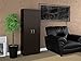 Ameriwood Home Flynn Storage Cabinet, Espresso