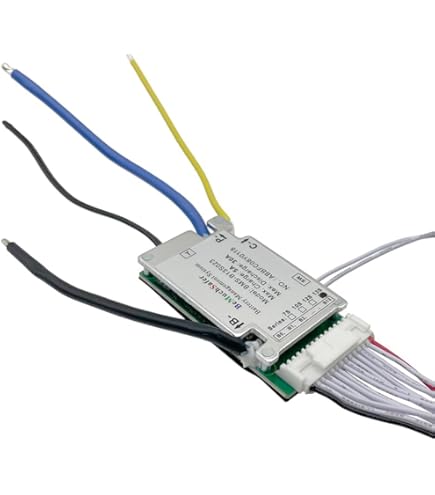 Amazon.com: BeMuchSafer 13S 30A 48V Battery BMS Separate Port with