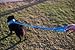 EcoBark Dog Leash - Soft & Reflective Comfort Training Leashes with Padded Handle - Strong Durable Heavy Duty - Training and Pulling for Small, Medium or Large Dogs (Sky Blue)