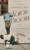 The Amazing Adventures of Aaron Broom: A Novel by 