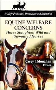 Equine Welfare Concerns Horse Slaughter Wild And