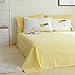 BuLuTu Cotton Pineapple Print Bed Pillowcases Set of 2 Queen Off White Pillow Covers Decorative Standard for Boys Girls Envelope Closure End-Premium,Ultra Soft,Hypoallergenic (2 Pieces,20