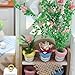 Flever Dollhouse Miniature DIY House Kit Creative Room With Furniture and Cover for Romantic Valentine's Gift(A Little Luckiness)
