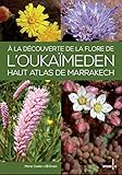 A LA DECOUVERTE DE LA FLORE DE L'OUKAÏMEDEN, HAUT ATLAS DE MARRAKECH by 