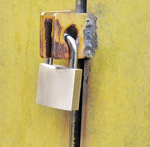 SEPOX 40mm Solid Brass Padlock Pack of 2