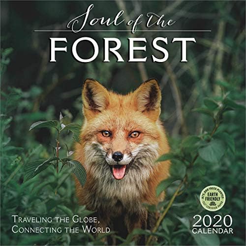 The Soul of the Forest 2020 Wall Calendar: Traveling the Globe, Connecting the World Calendar – Wall Calendar, June 19, 2019