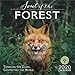 The Soul of the Forest 2020 Wall Calendar: Traveling the Globe, Connecting the World by Amber Lotus Publishing