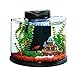 Elive AquaDuo 3 Gallon Betta Aquarium Fish Tank Kit, LED Lighting, Aquaponic and Power Filter, Cartridges and Hydrocorn Included